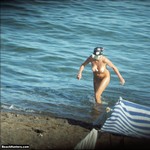 Porn Pictures - BeachHunters.com - Nude Beach Voyeur